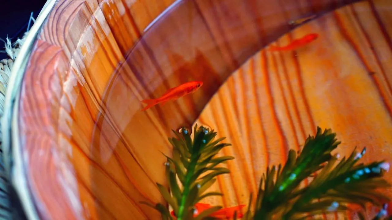 بيت ضيافة Kyoto Classical House -Murasakian -